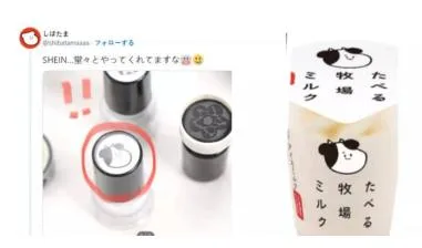 Shein被全球品牌起诉侵权 “知产保护”成遮羞布?